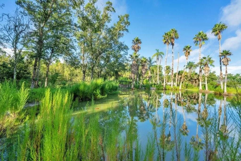 Image 6 of 11 For 805 Baron Road