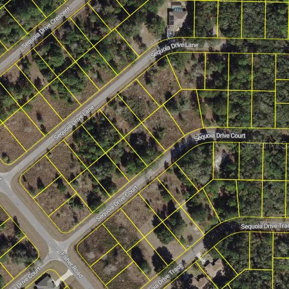 Image 2 of 6 For Sequoia Drive Court