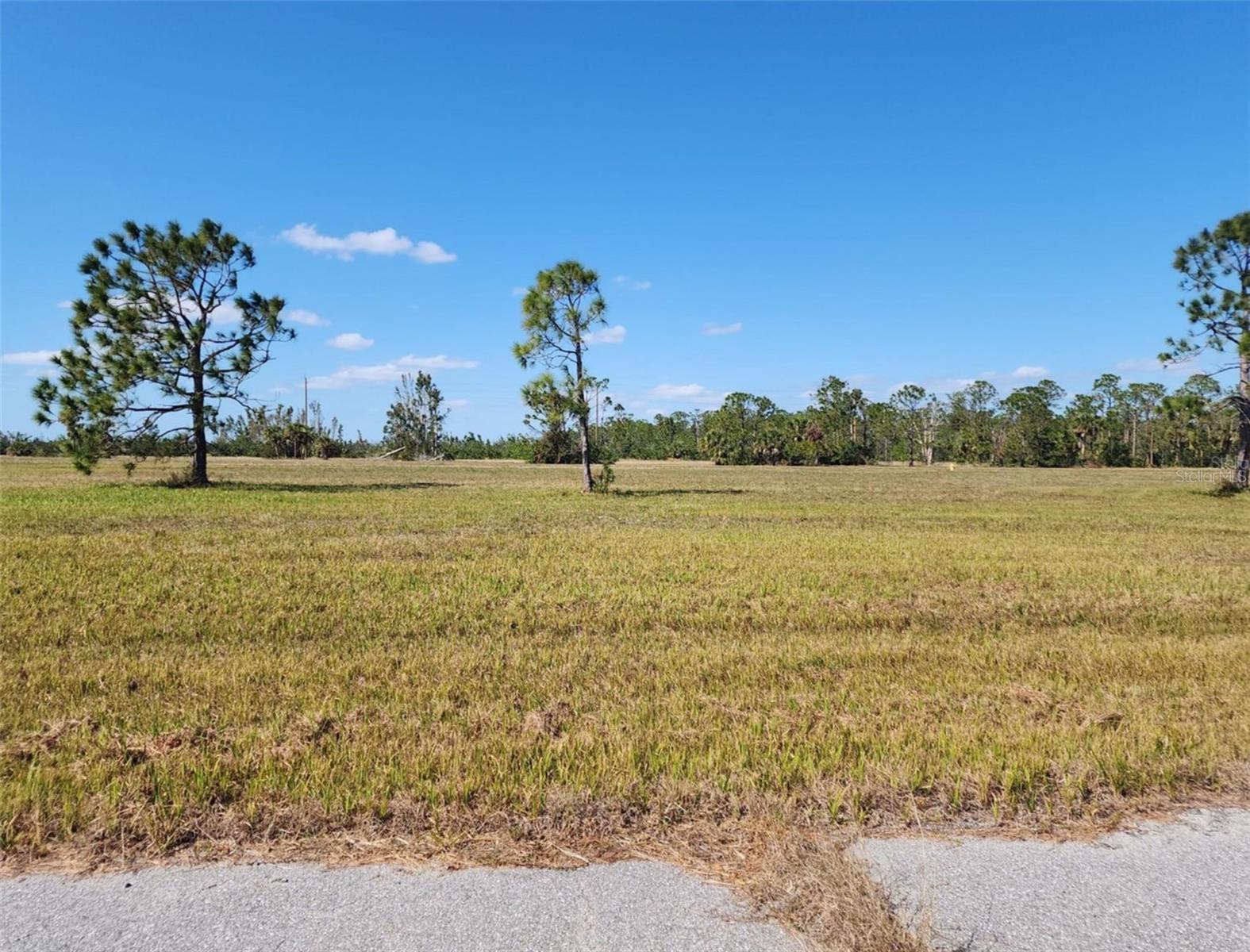 Listing Details for 14108 Tilefish Court, PLACIDA, FL 33946