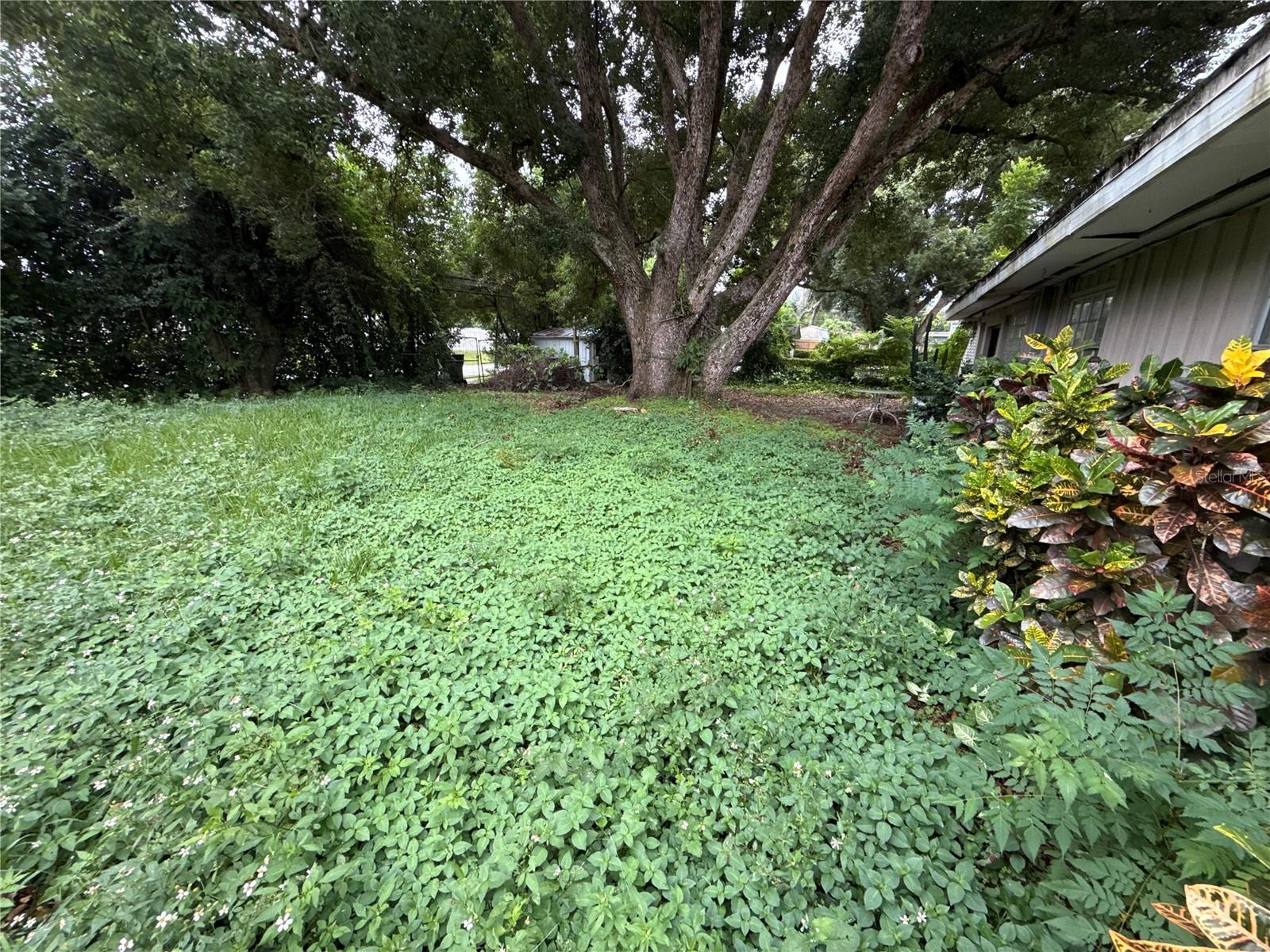 Image 4 of 13 For 3613 March Avenue