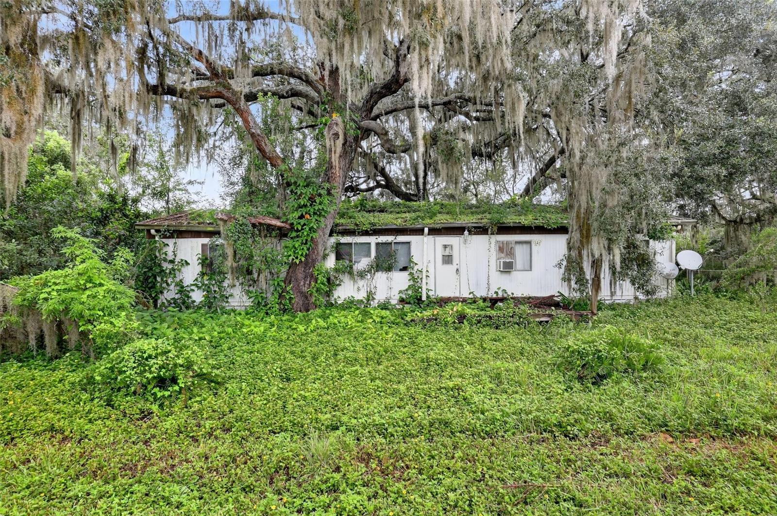 Details for 18603 50th Street, OCKLAWAHA, FL 32179