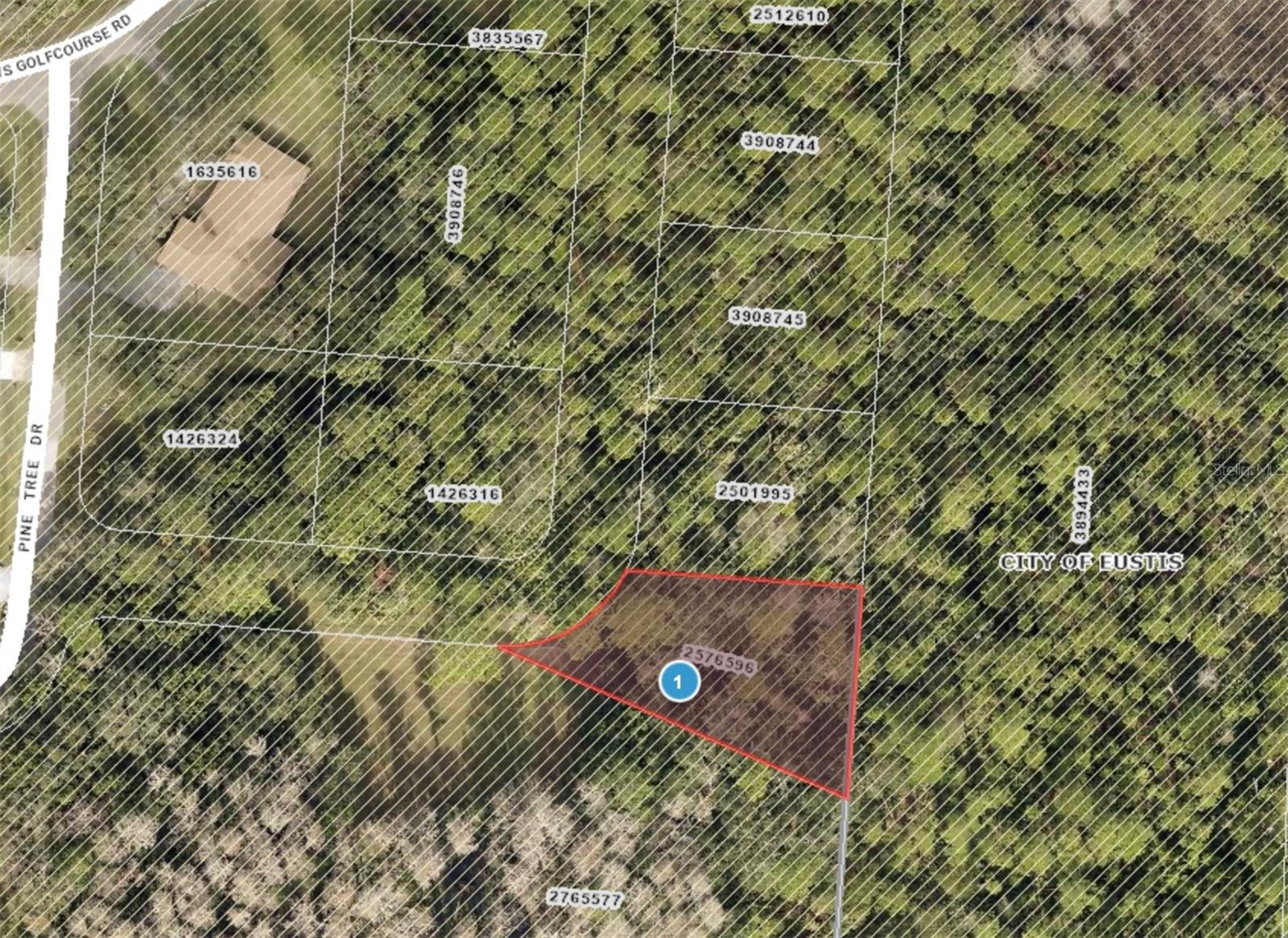 Details for Pine Tree Drive, EUSTIS, FL 32726