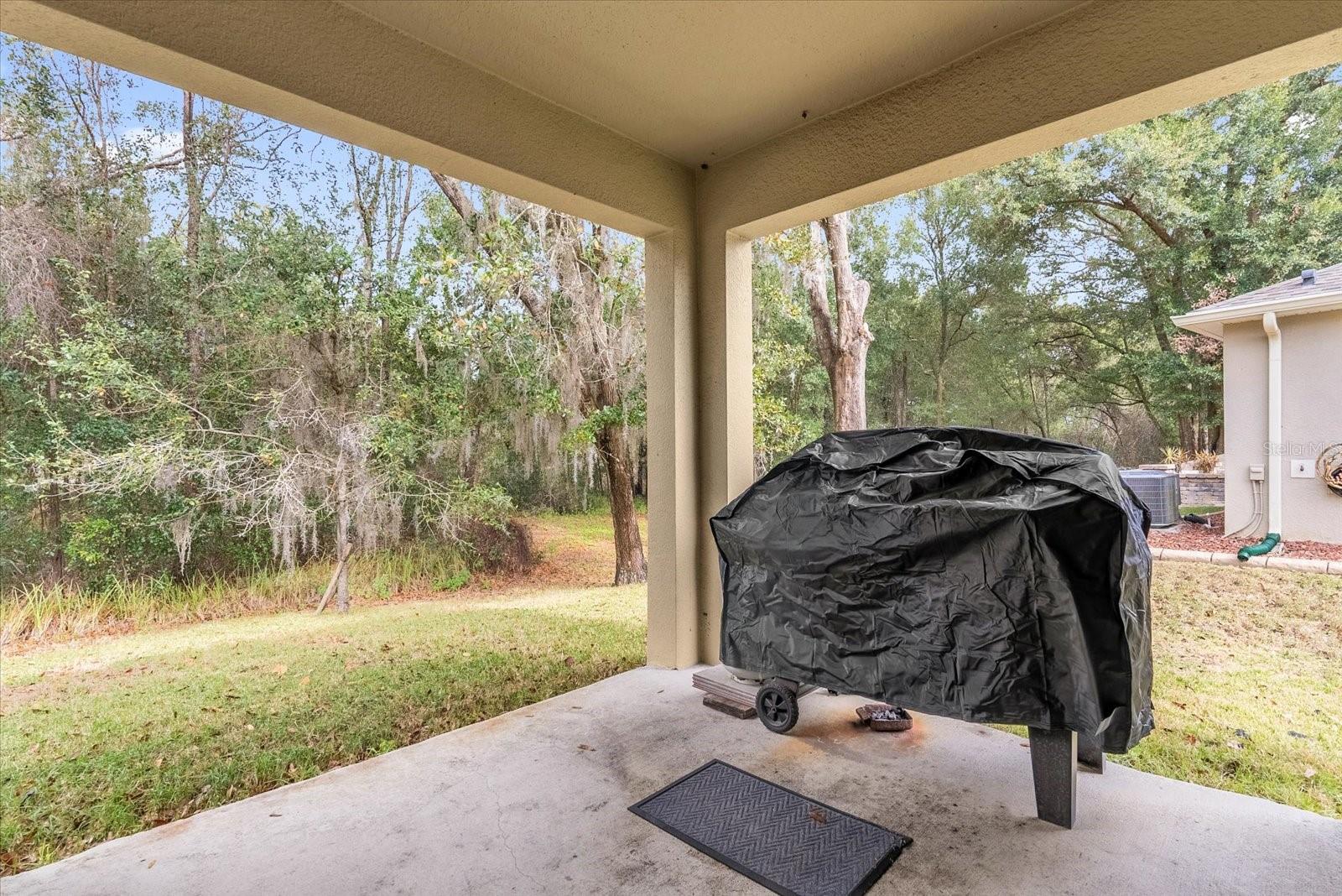 Image 25 of 32 For 34625 Salerno Circle