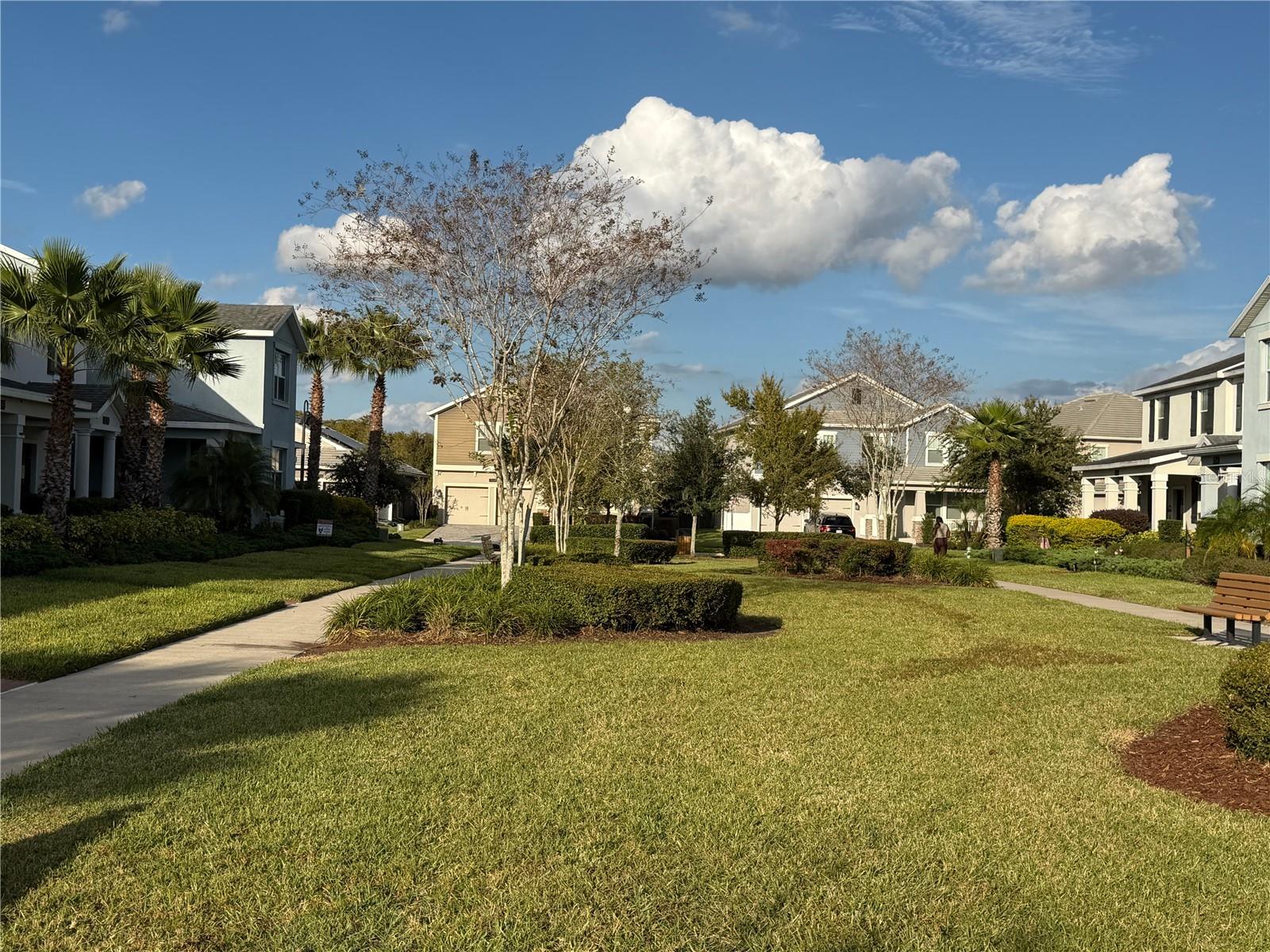 Image 19 of 19 For 11872 Metaphor Alley