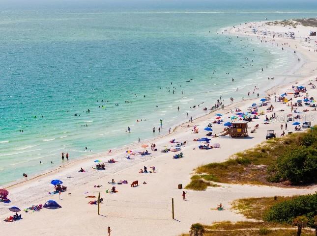 Image 24 of 24 For Tbd Clemson Road