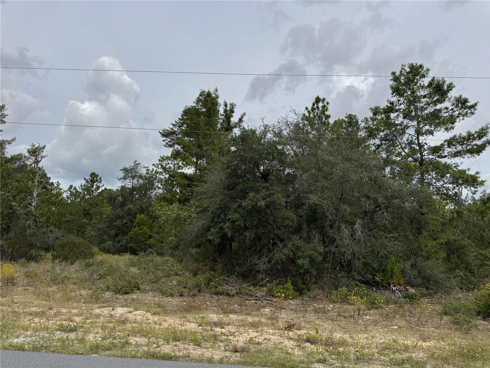 Image 5 of 13 For 4468 Malaluka Circle