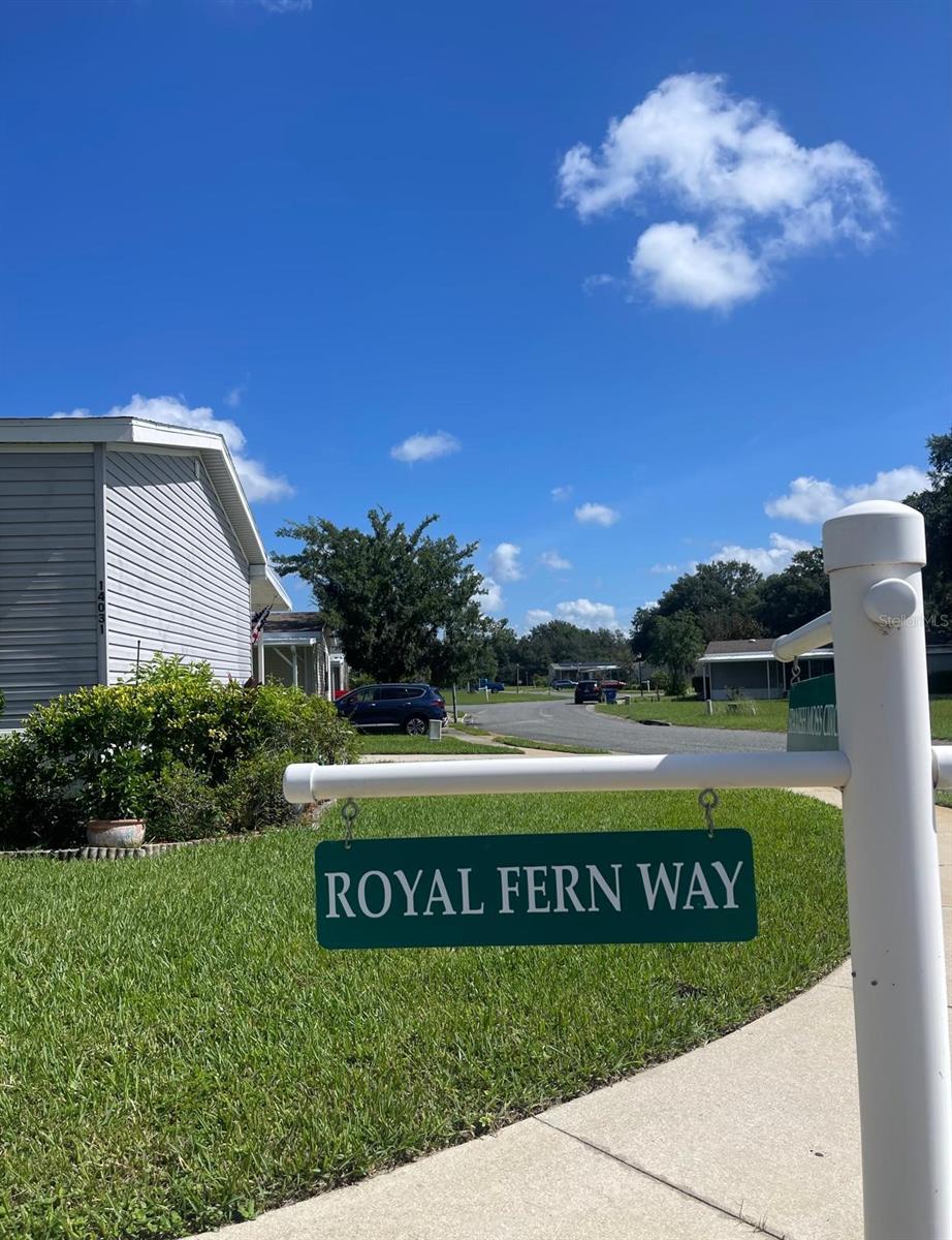 Image 36 of 37 For 14025 Royal Fern Way