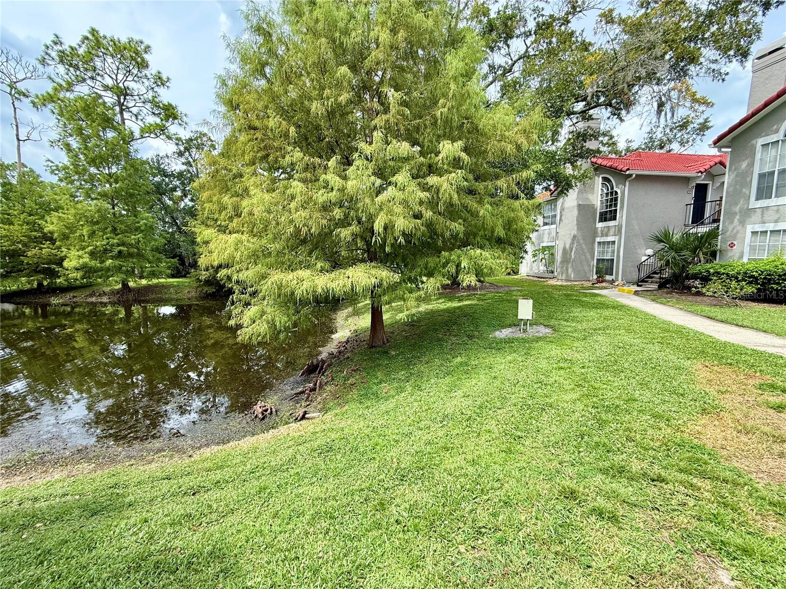 Image 38 of 42 For 905 Northern Dancer Way 207