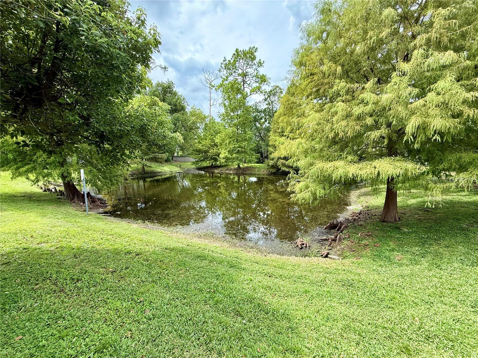 Image 41 of 42 For 905 Northern Dancer Way 207