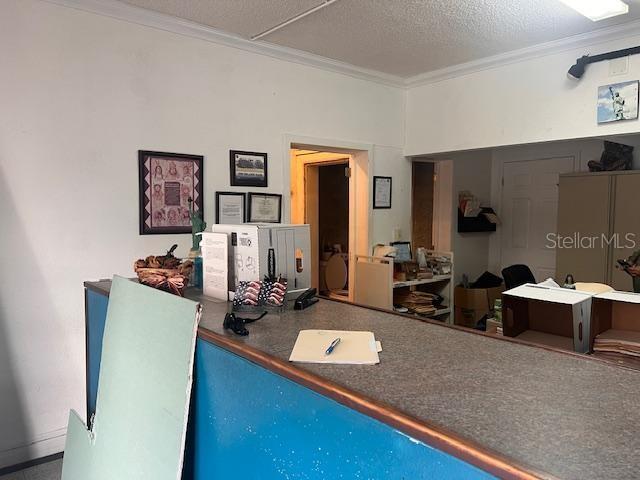 Image 3 of 4 For 8421 Orange Blossom Trail 123