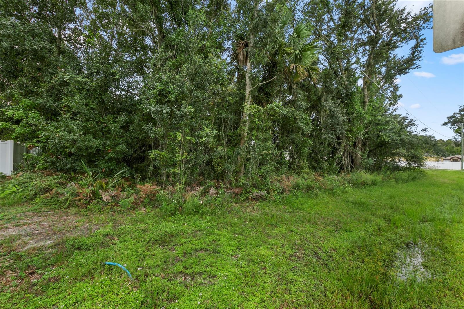 Image 5 of 8 For Starling Ct.