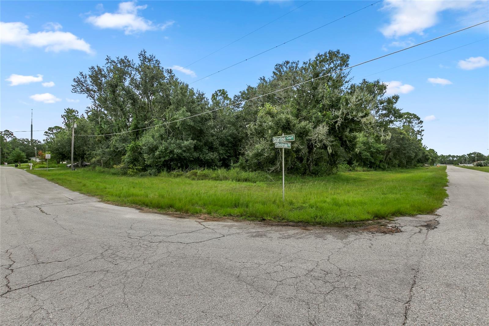 Image 6 of 8 For Starling Ct.