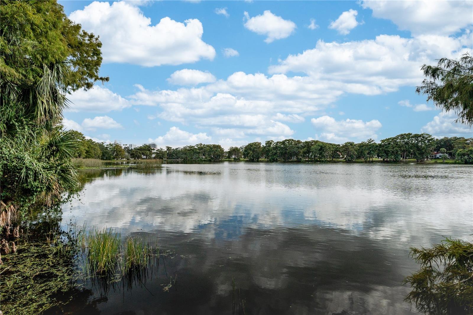 Image 5 of 41 For 717 Lake Adair Boulevard