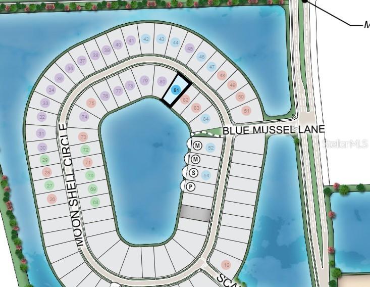 Image 40 of 41 For 564 Moon Shell Circle