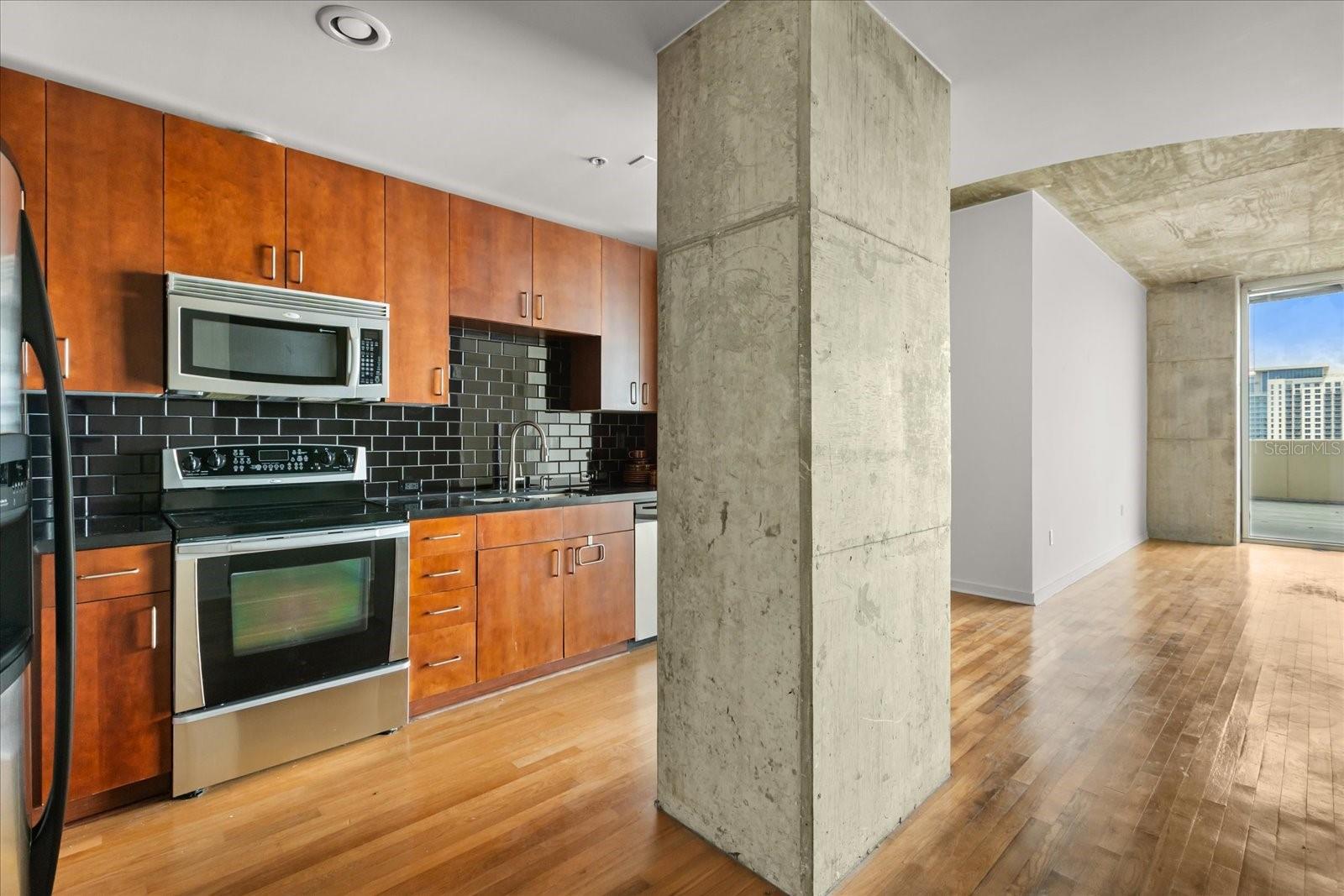 Image 8 of 33 For 155 Court Avenue 1011