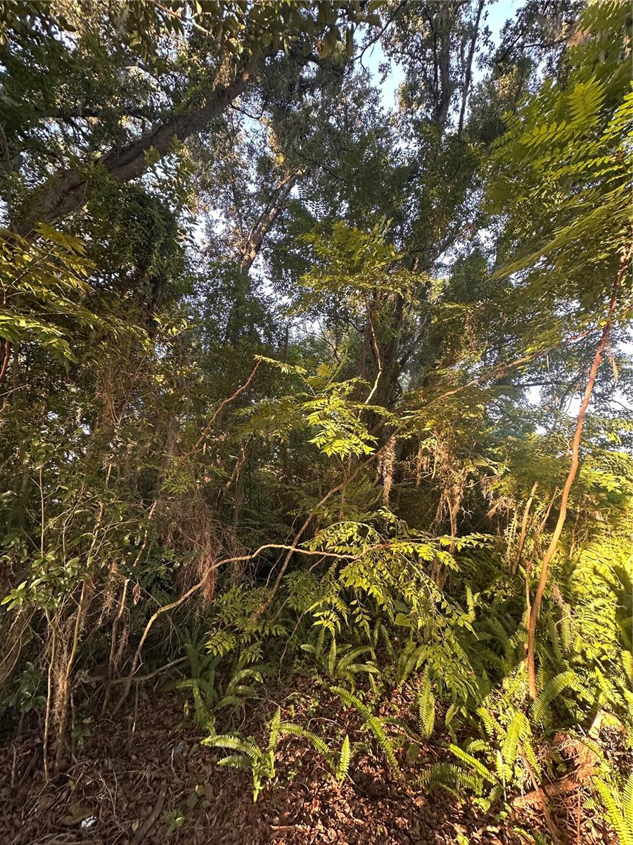 Image 2 of 12 For 1924 Margaret Street