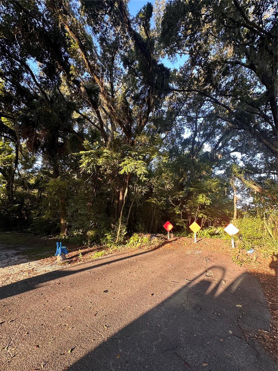 Image 3 of 12 For 1924 Margaret Street