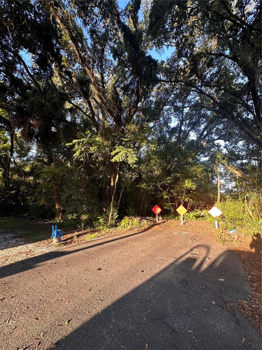 Image 4 of 12 For 1924 Margaret Street