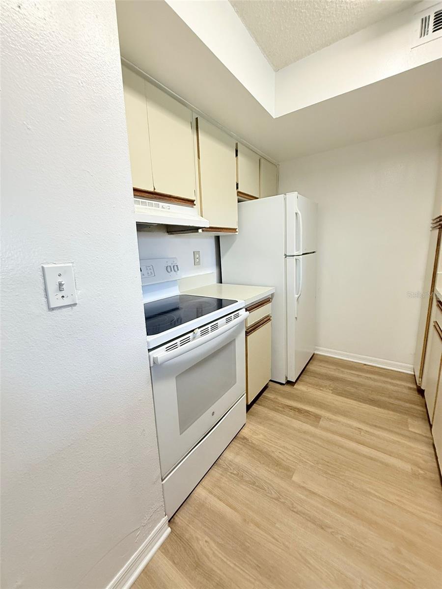 Image 16 of 22 For 401 Fountainhead Circle 249