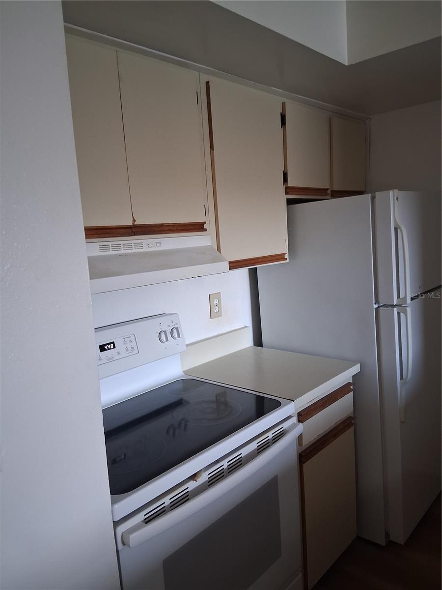 Image 5 of 22 For 401 Fountainhead Circle 249