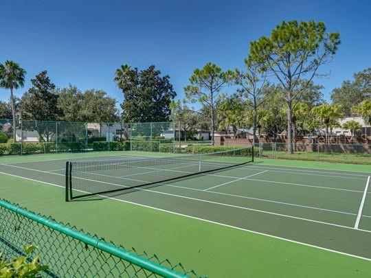 Image 56 of 58 For 249 Richmond Drive