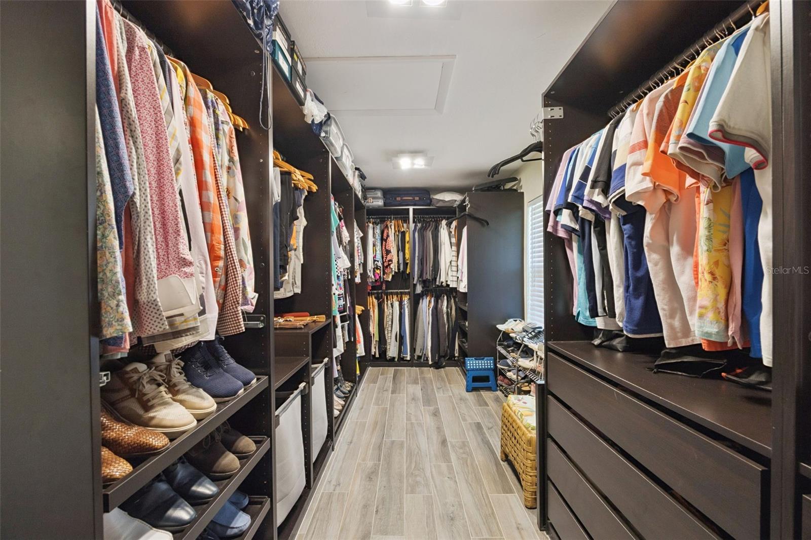 Image 13 of 44 For 101 Variety Tree Circle