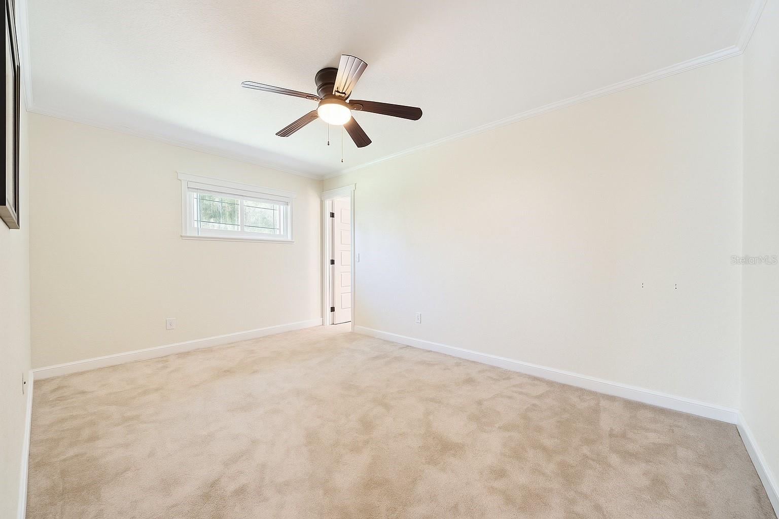 Image 18 of 44 For 101 Variety Tree Circle