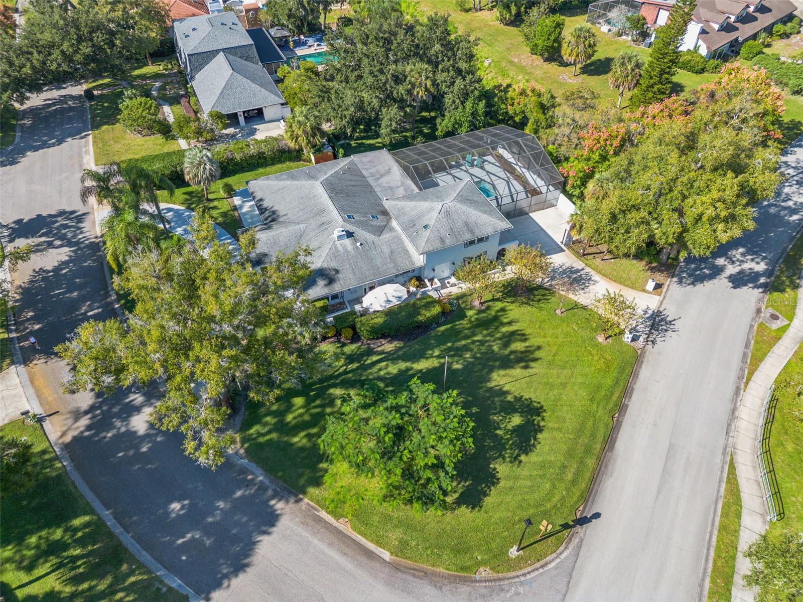 Image 2 of 44 For 101 Variety Tree Circle