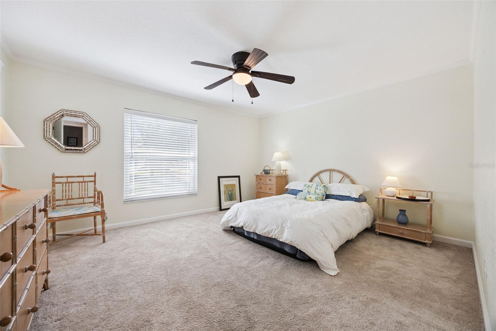 Image 20 of 44 For 101 Variety Tree Circle