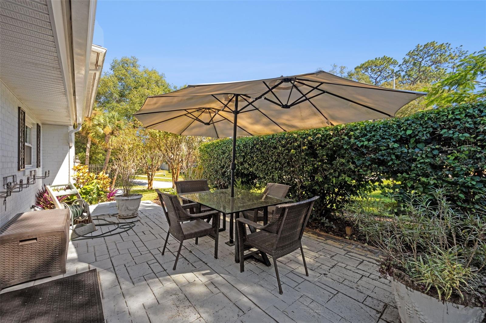 Image 27 of 44 For 101 Variety Tree Circle