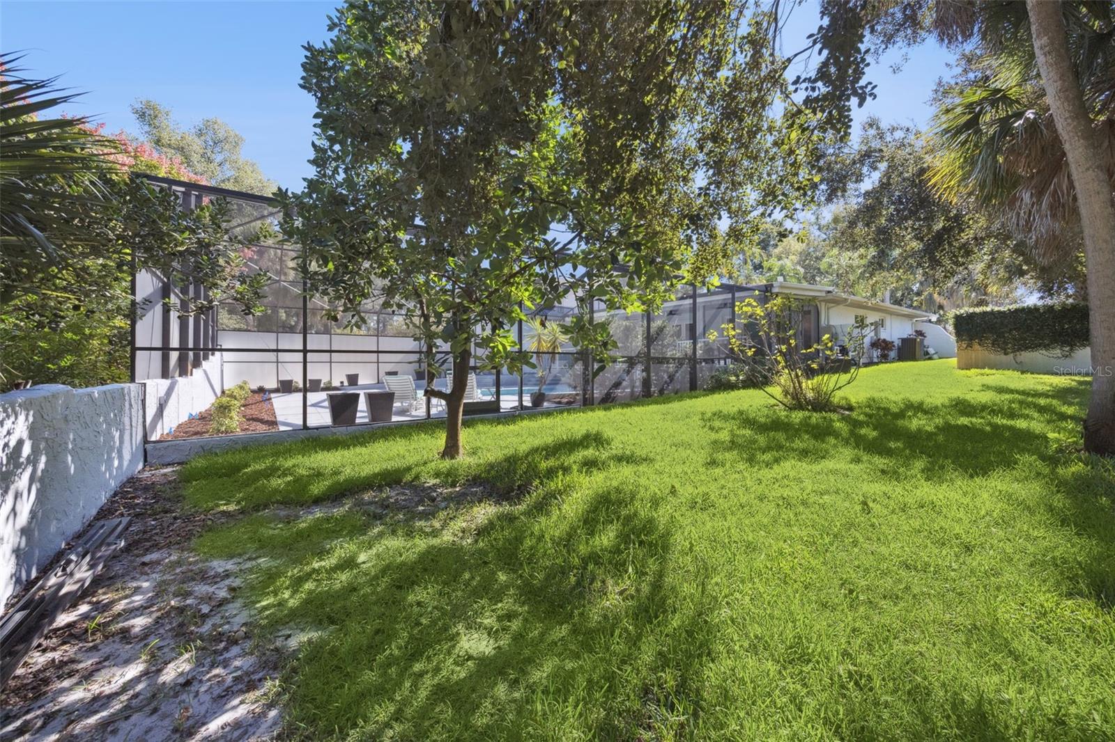 Image 30 of 44 For 101 Variety Tree Circle