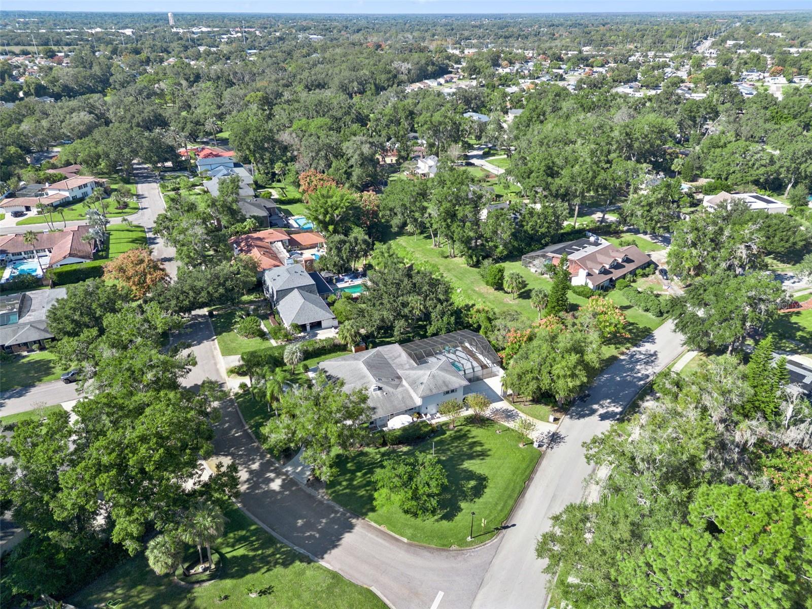 Image 33 of 44 For 101 Variety Tree Circle