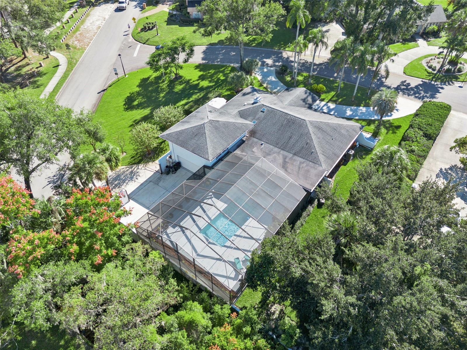 Image 37 of 44 For 101 Variety Tree Circle