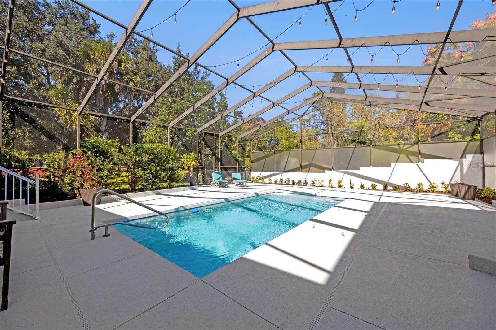 Image 4 of 44 For 101 Variety Tree Circle