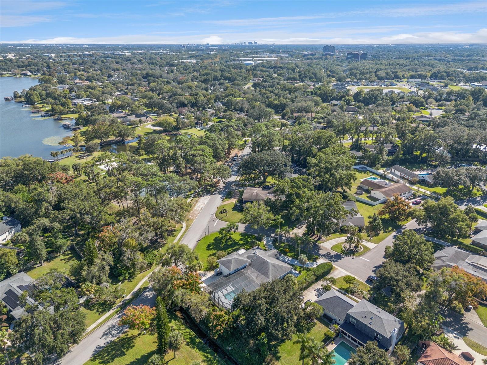 Image 40 of 44 For 101 Variety Tree Circle