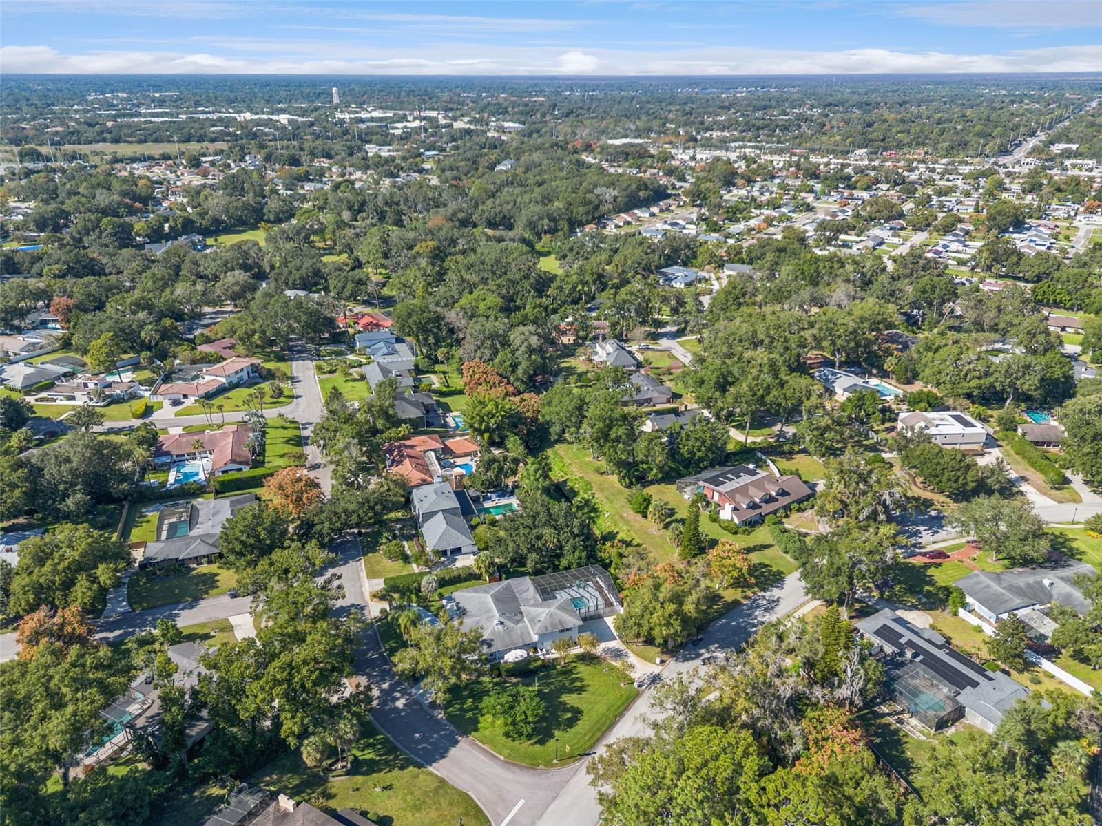 Image 41 of 44 For 101 Variety Tree Circle