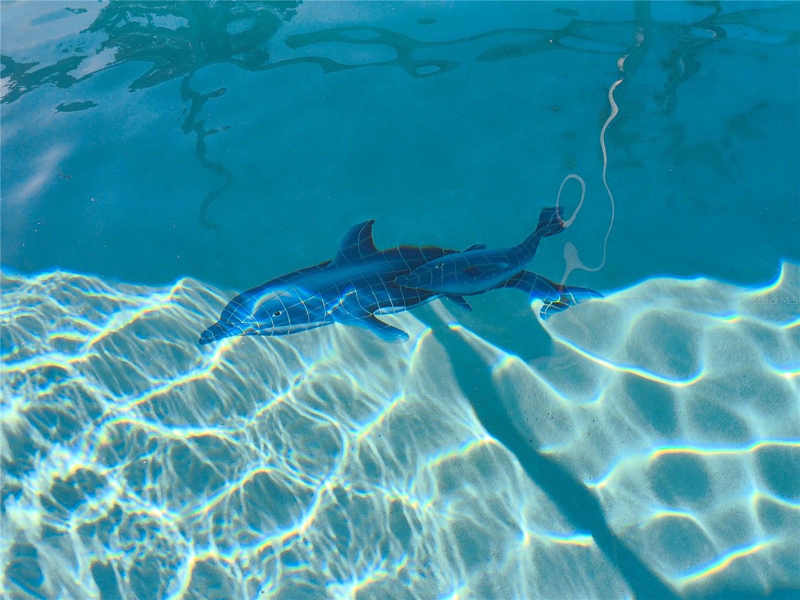 Image 55 of 59 For 459 Belfry Drive