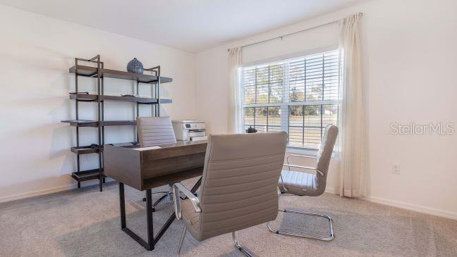 Listing photo id 14 for 3063 Griffin Street