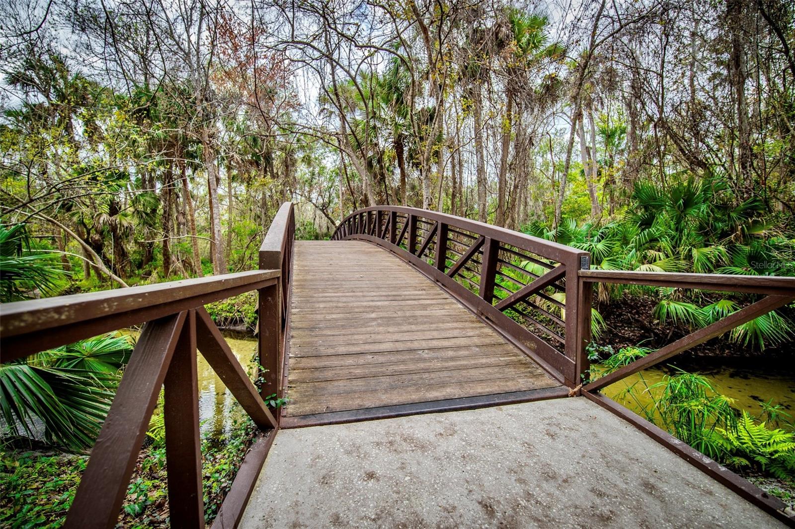 Image 42 of 54 For 205 Crown Oaks Way 202