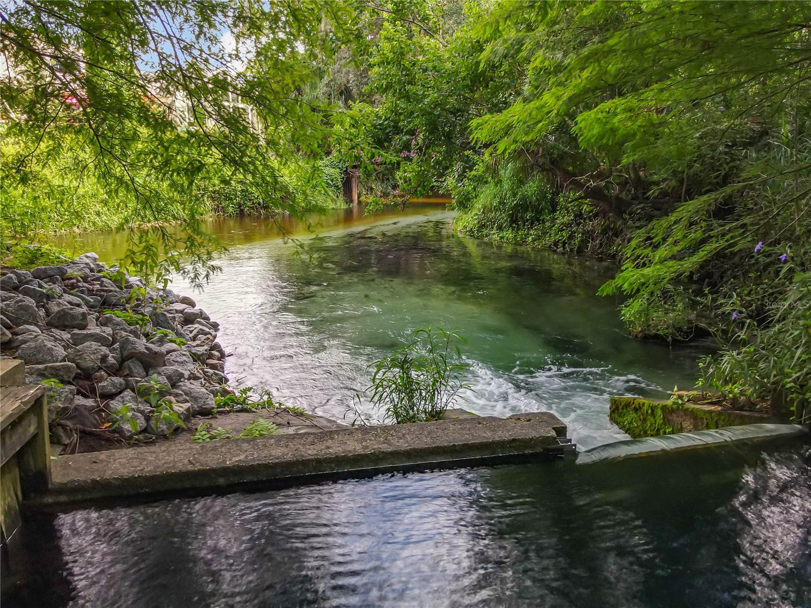 Image 46 of 54 For 205 Crown Oaks Way 202