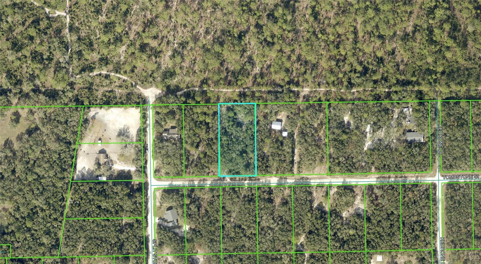 Details for Tombstone Street, WEBSTER, FL 33597