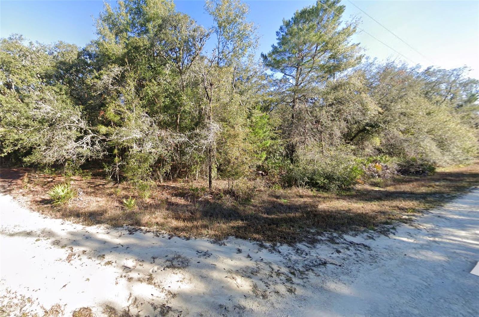 Image 2 of 4 For Tombstone Street