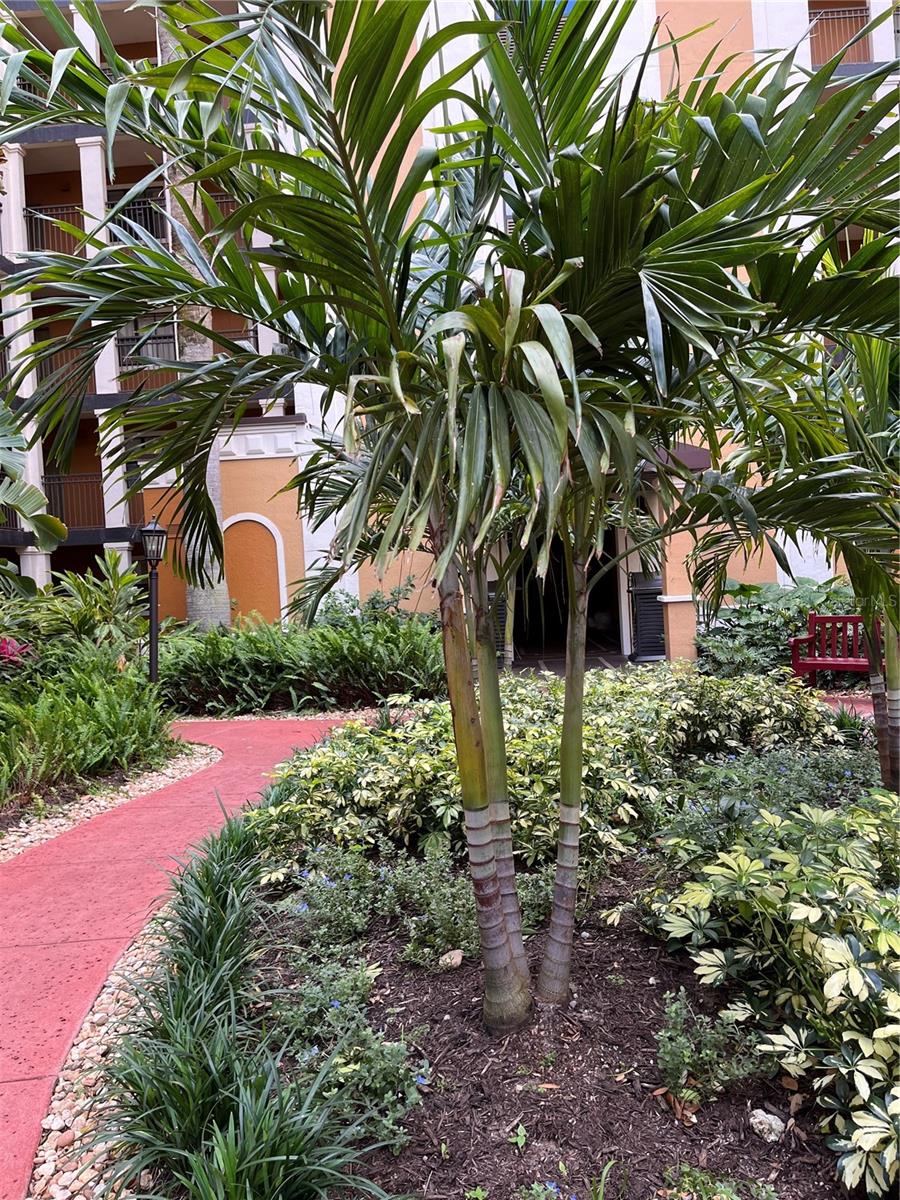 Image 42 of 60 For 12521 Floridays Resort Drive 510f