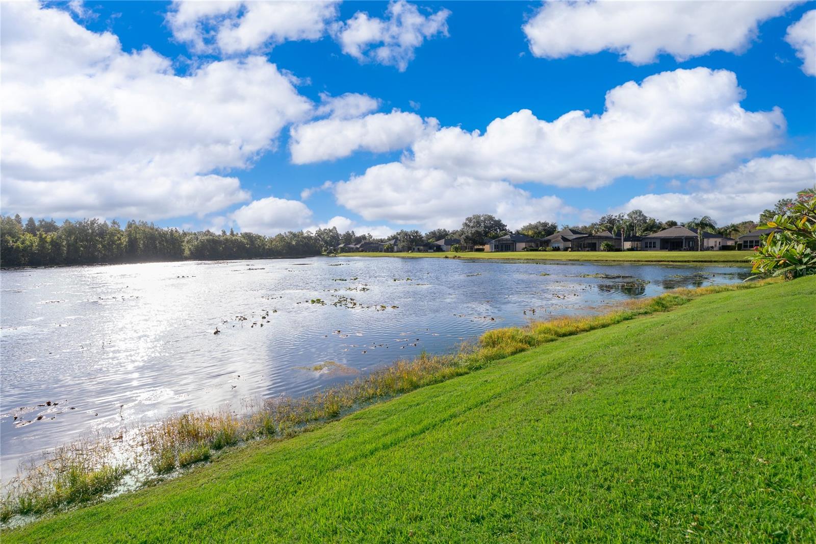 Image 34 of 64 For 208 Del Sol Avenue