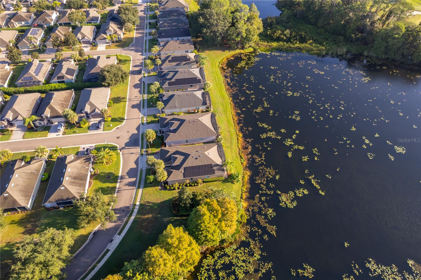 Image 39 of 64 For 208 Del Sol Avenue