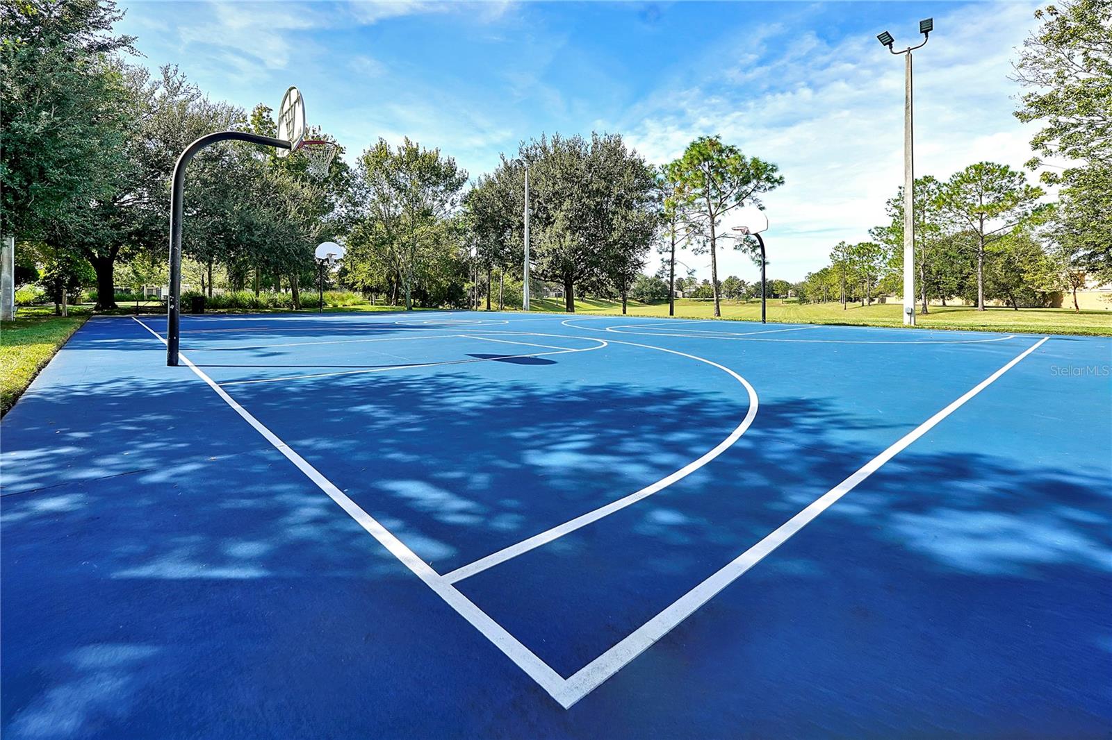 Image 81 of 82 For 2703 Manesty Lane