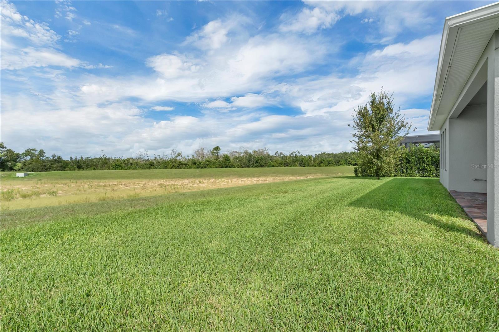 Image 45 of 57 For 8156 Water Blossom Lane