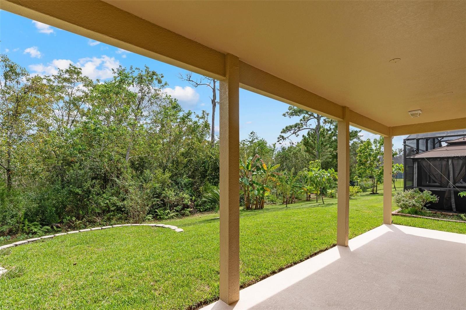 Image 30 of 87 For 17320 Cypress Preserve Parkway