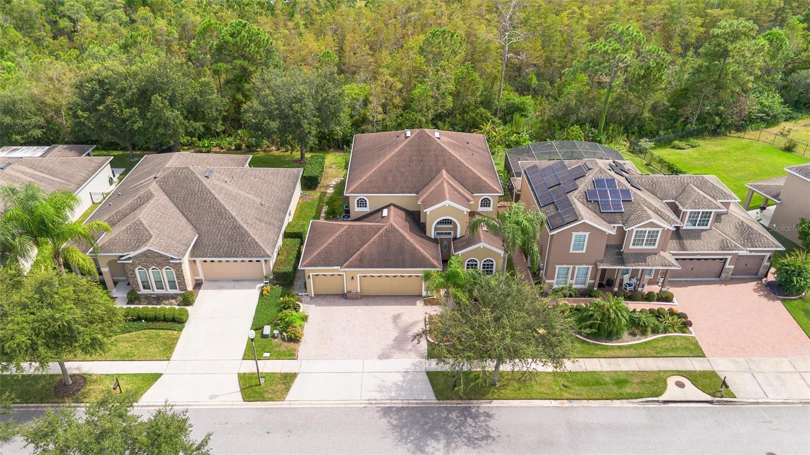 Image 4 of 87 For 17320 Cypress Preserve Parkway