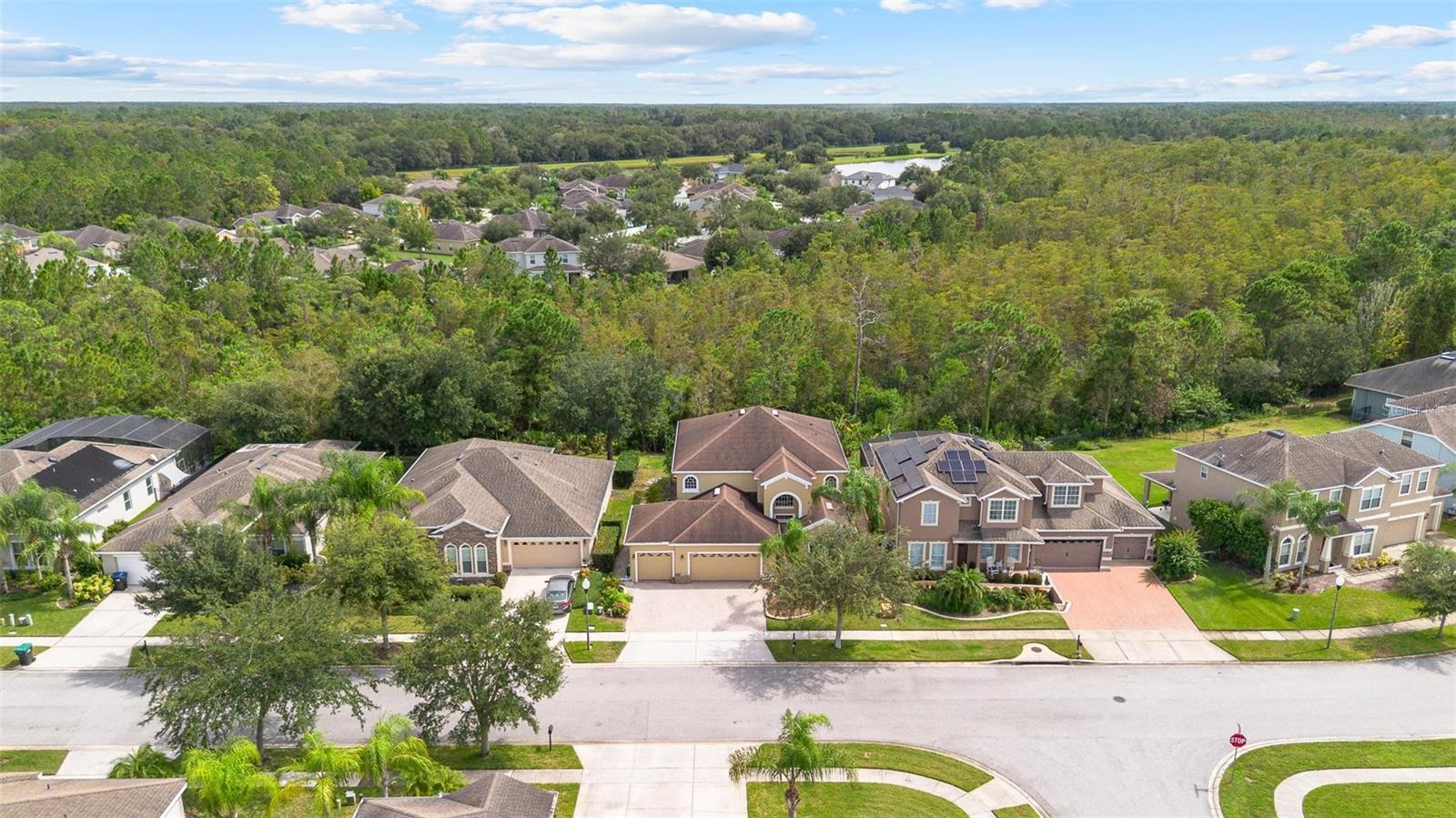 Image 6 of 87 For 17320 Cypress Preserve Parkway